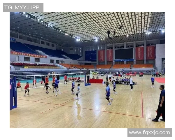 2026排球个人能力排行榜：深圳排球队位居第5名